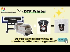 Maintop DTF Printer with Epson XP600 Print Head and Pigment Ink